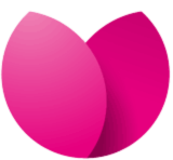 tulipan.pl