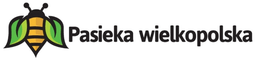 sklep882207.shoparena.pl