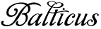 balticus-watches.com