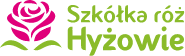 hyzowie.com