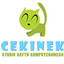 haftycekinek.pl