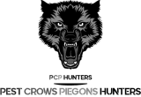 pcphunters.com