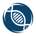yava-labs.pl