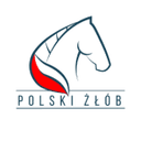 sklep.polskizlob.pl