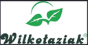 wilkolaziak.pl